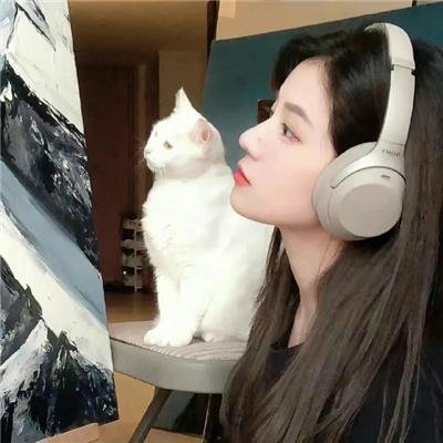 我不恋爱的理由